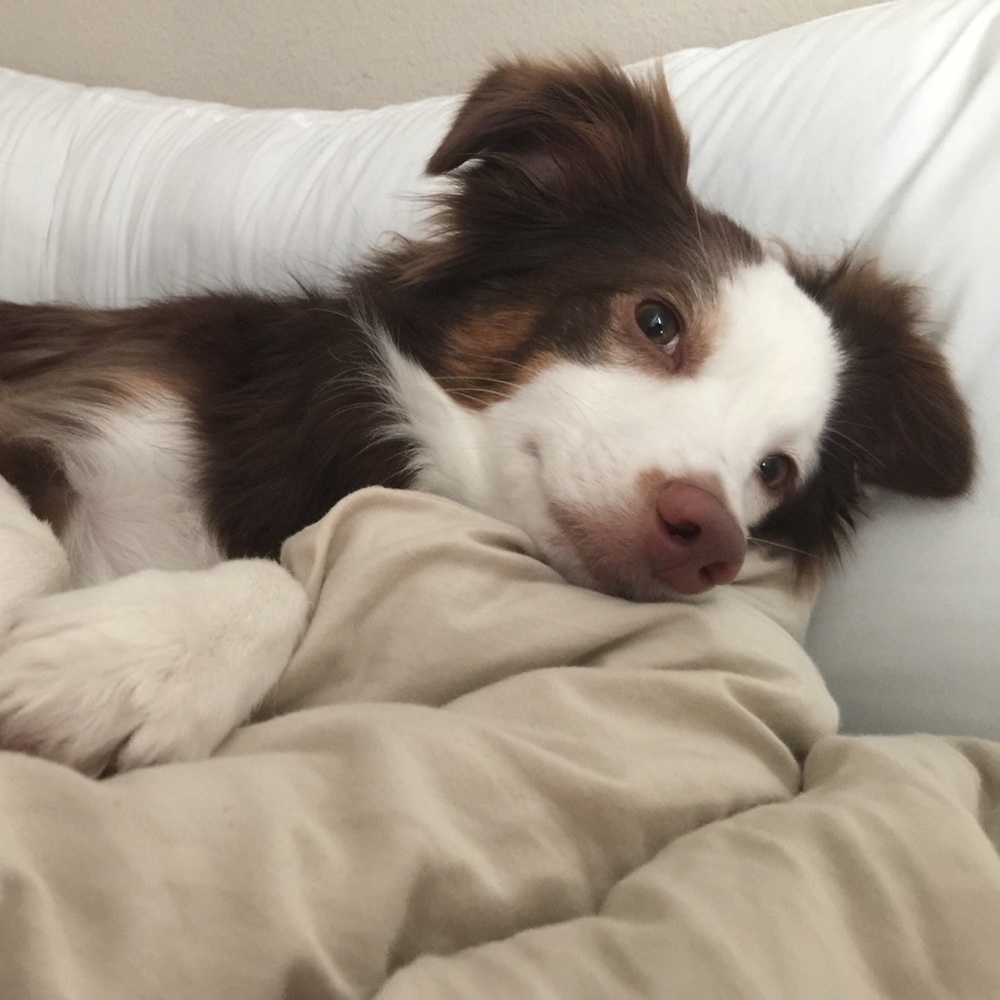 Meet your Posher, April